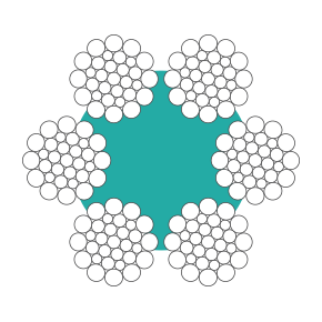 6x31WS-SPC